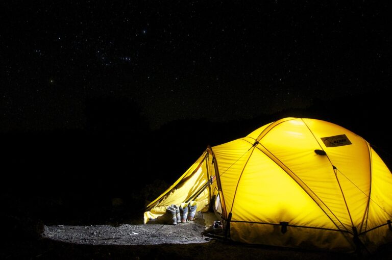 Joindre le service client pour avoir les informations des acteurs essentiels du marché e la randonnée et du camping en 2025 en Suisse