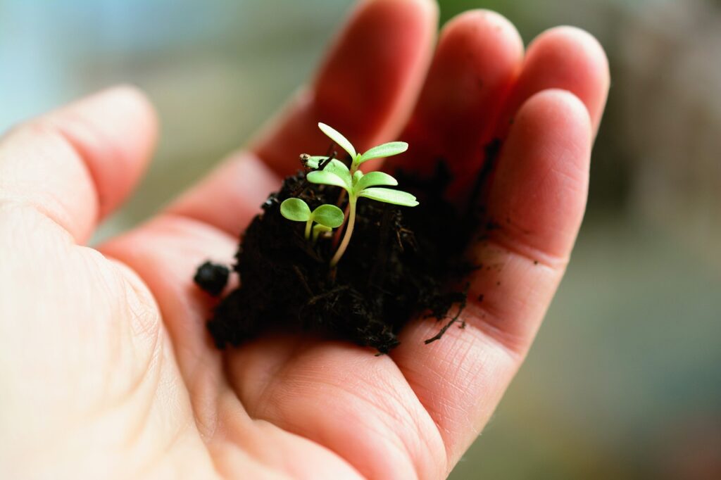 Contacter les plateformes incontournables du marché du jardinage écologique en 2025